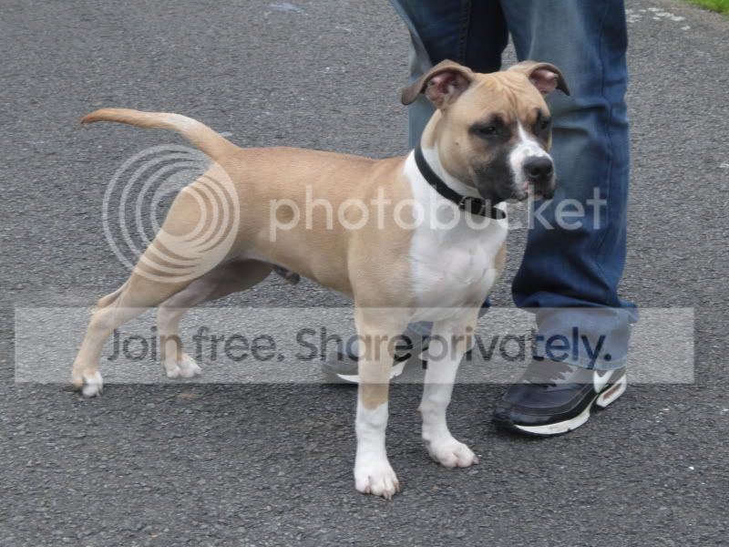 SAM_0038.jpg