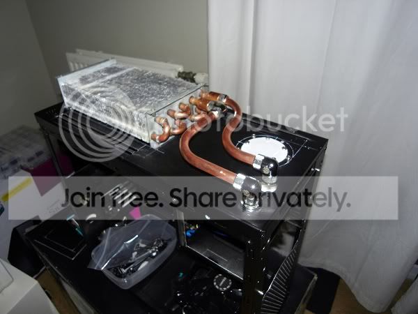 SDC10516.jpg