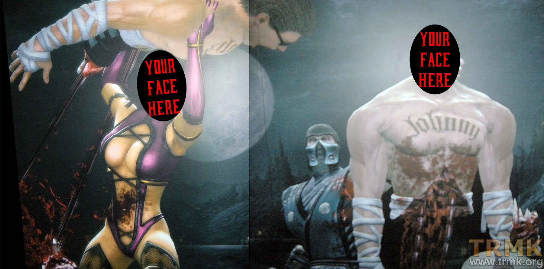 Gamestop_2010_YourFaceHere.jpg
