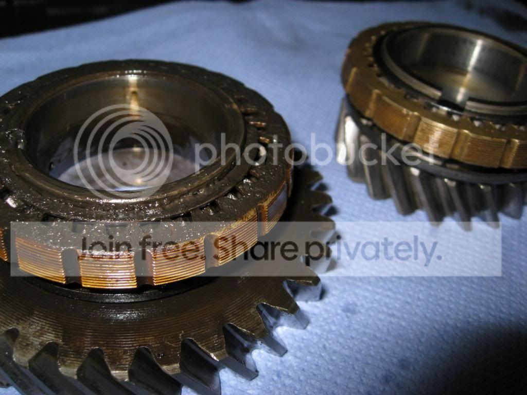 IMG_4599Large.jpg