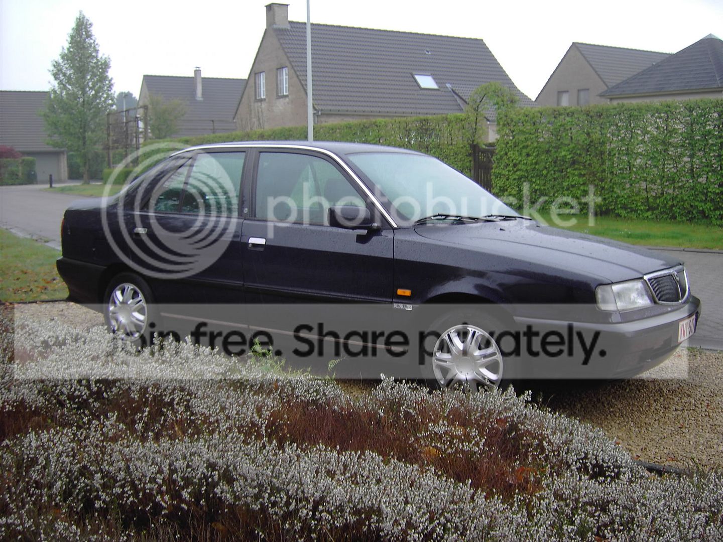PICT0010.jpg