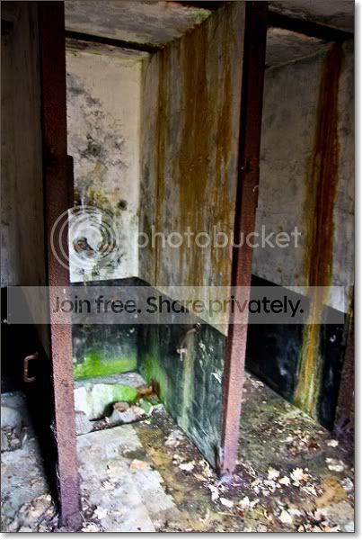 sized_IMG_3485.jpg