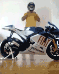 tumblr_lrk6alR1HV1qzrlhgo1_250.gif