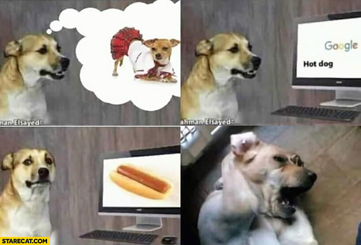 dog-googling-hot-dog-anxious-depressed.jpg