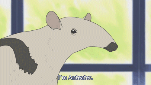 tumblr_m2vywiJl631rn116do1_500.gif
