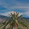 jessylanza.bandcamp.com