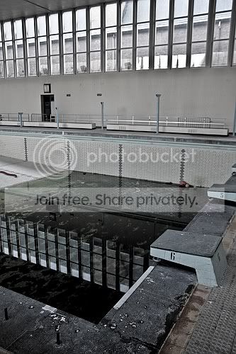 sized_IMG_3459.jpg