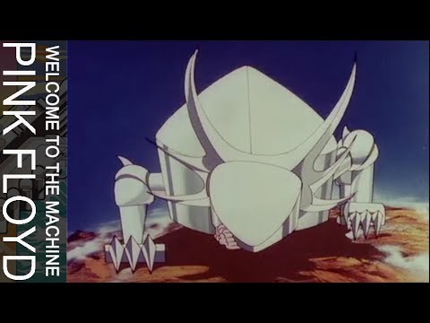 www.youtube.com