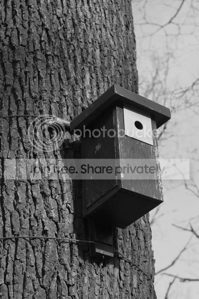 Natuur0301.jpg