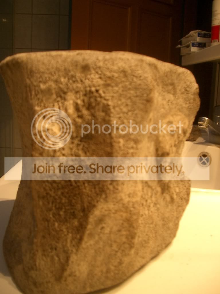 IMGP6576.jpg