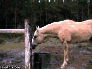 bf18acdf-d99f-4604-ab45-6cd4c66bddbc.gif
