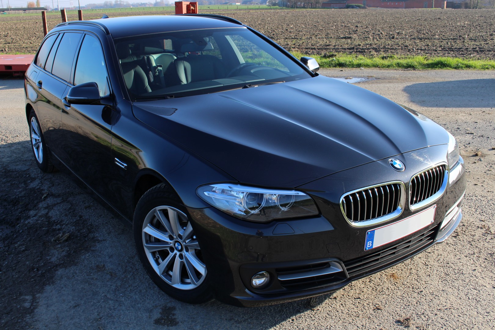 bmw51.JPG