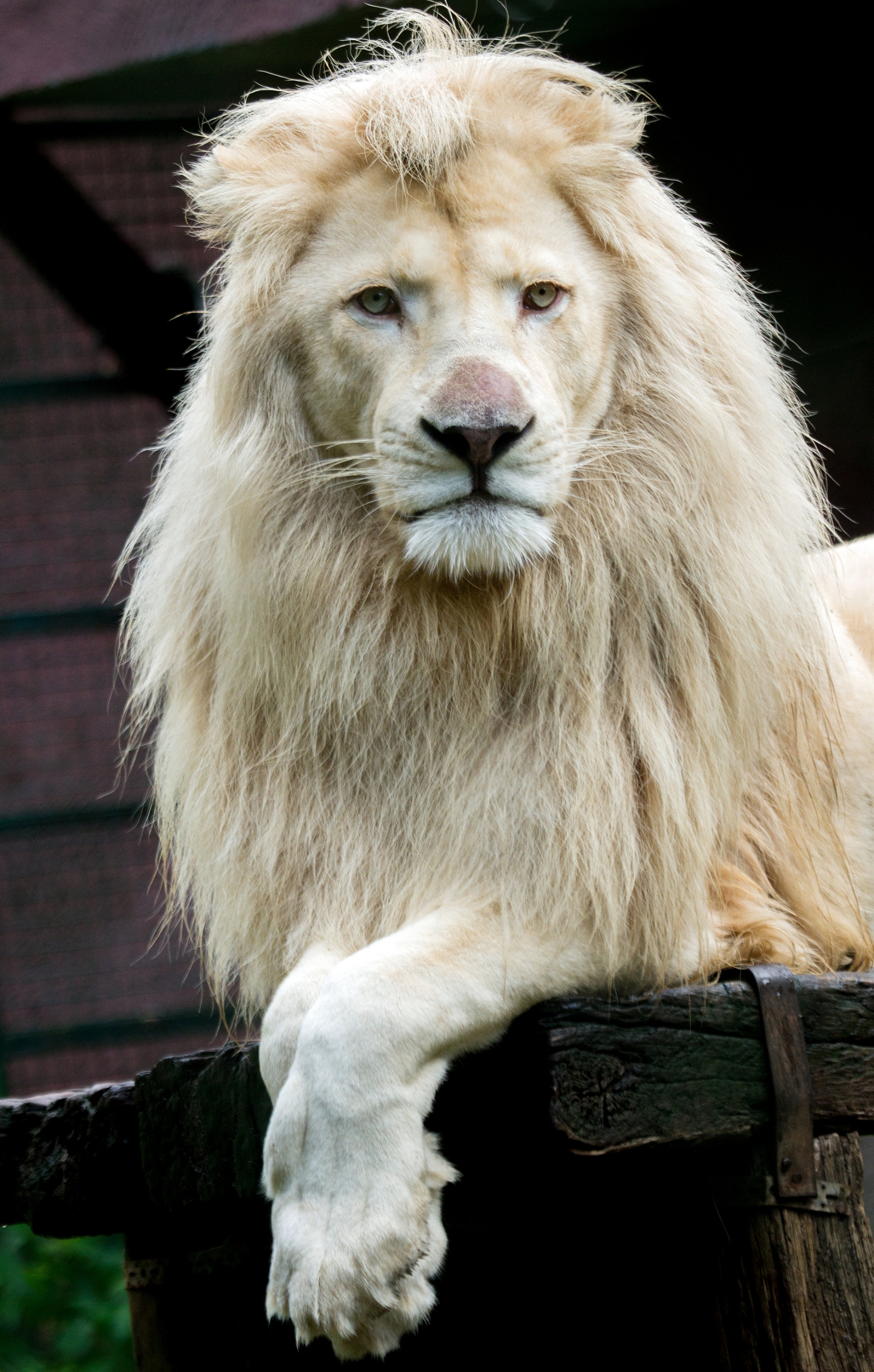 www.pakawipark.be