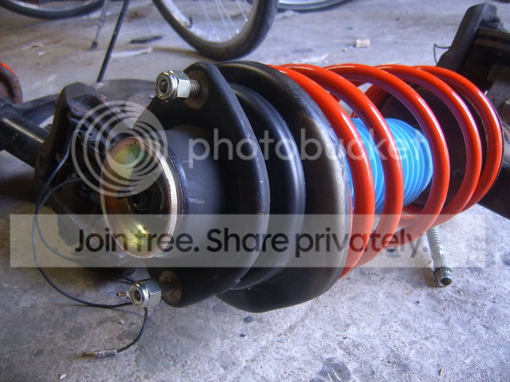 SUC53553.jpg