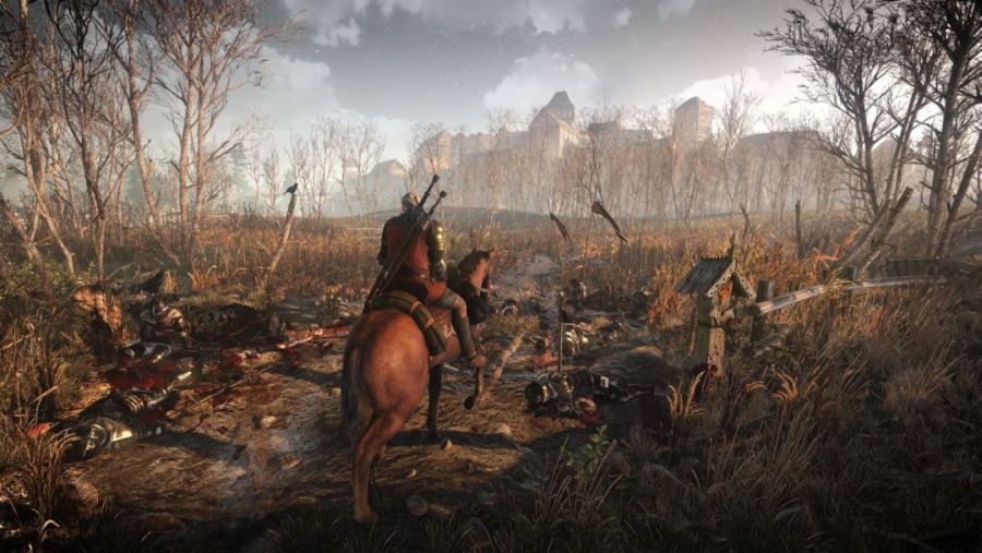The-Witcher-3-new-screens-012814-31.jpg