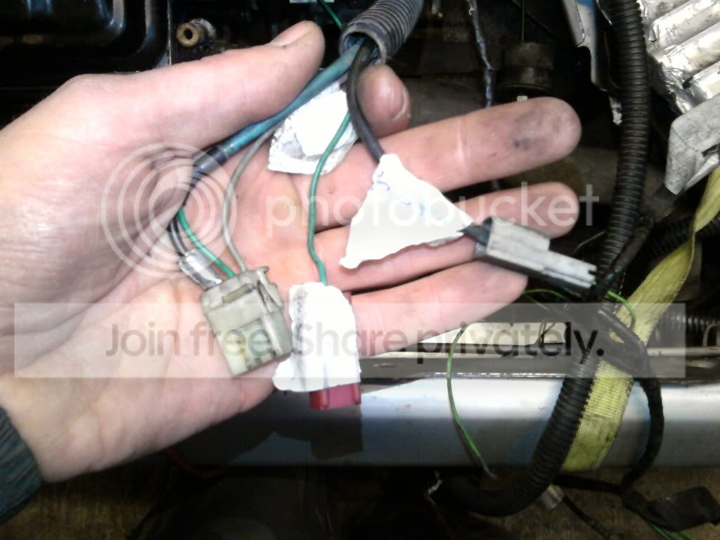 SP_A0265.jpg
