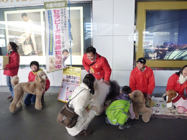 20130301_513481.jpg