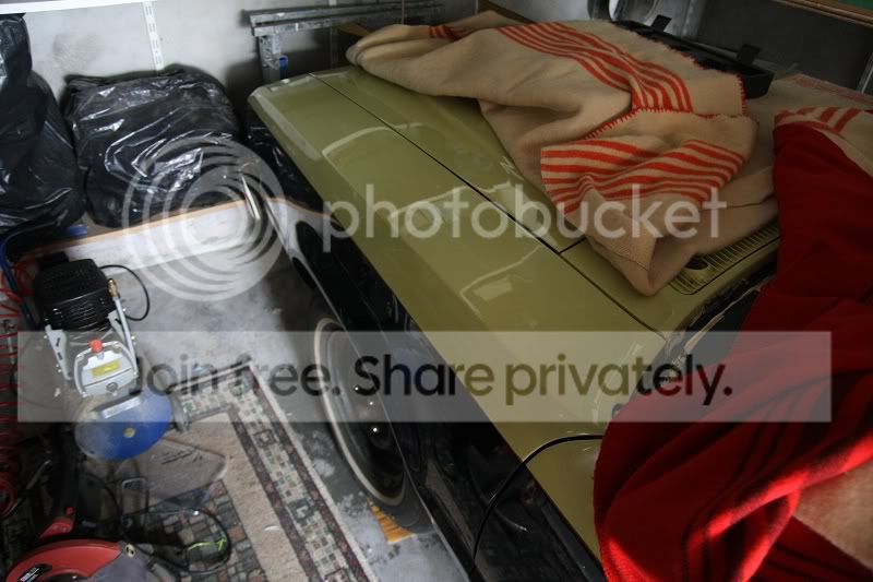 sized_IMG_4147.jpg