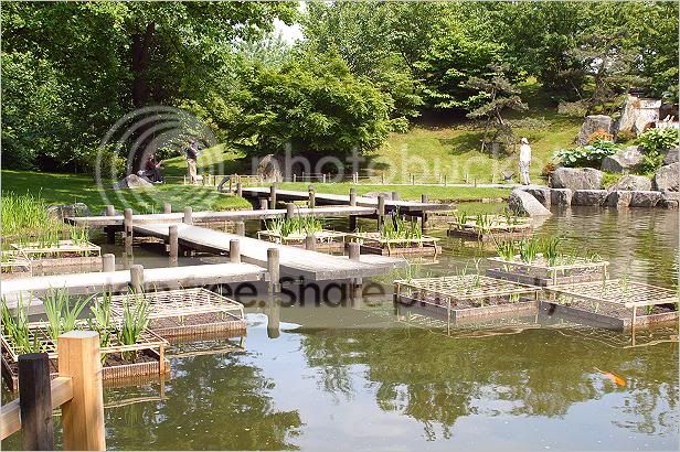 hasselt-japansetuin02.jpg