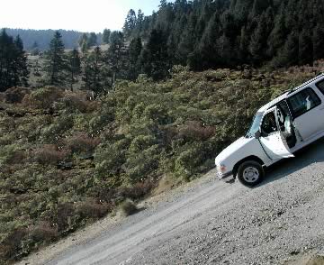 steep-street-alteration.jpg