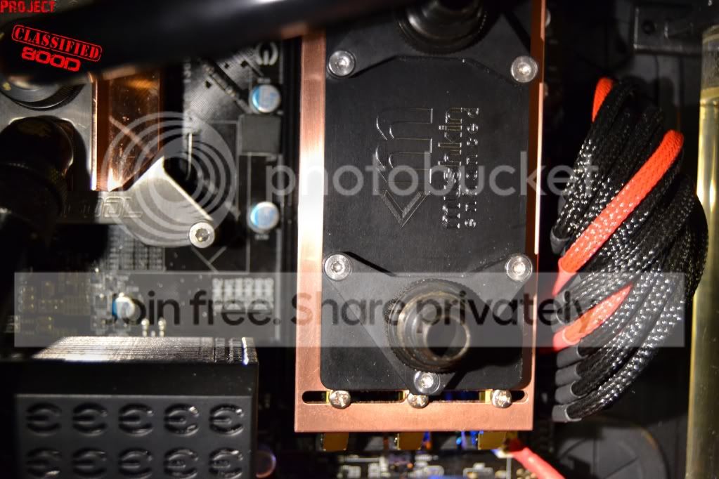 DSC_0088.jpg