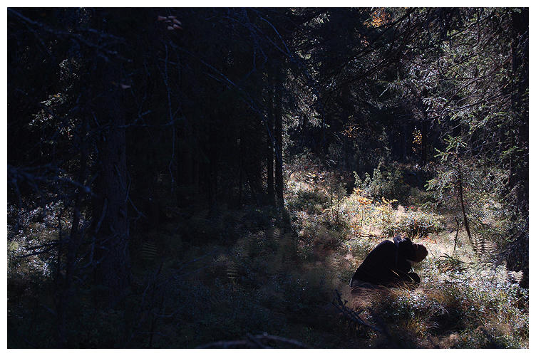 In_the_woods_by_crepin.jpg