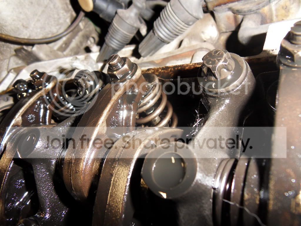 SDC11798.jpg