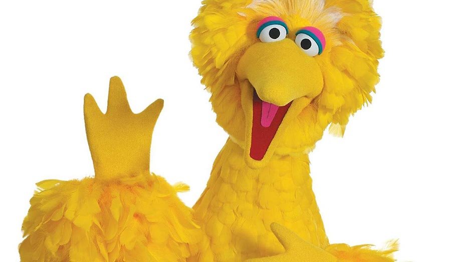 BigBird.jpg