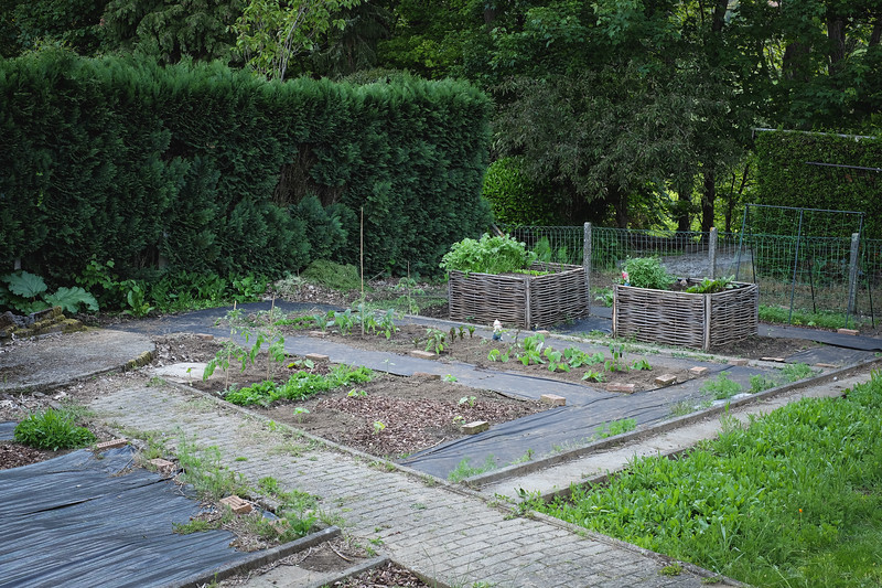 DSCF6852-L.jpg