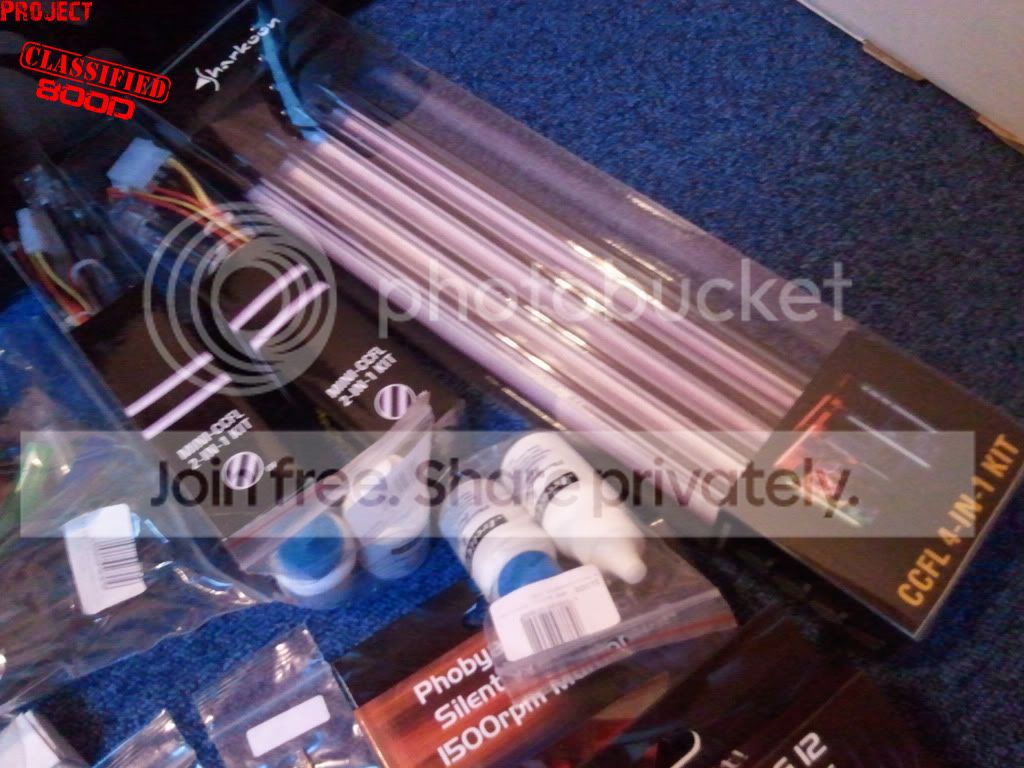 2010-10-14181636.jpg