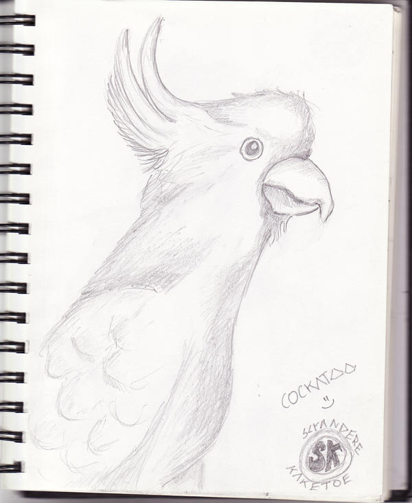 Selfportrait_by_kaketoe.jpg