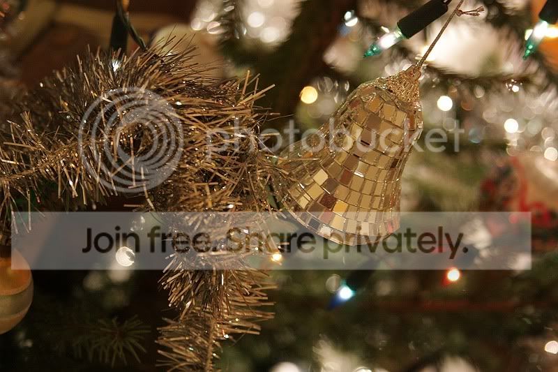 sized_IMG_0060.jpg