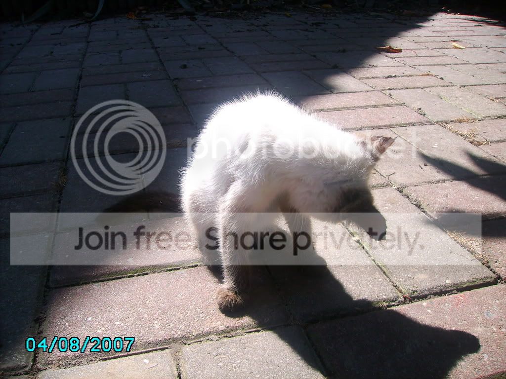 PICT0016.jpg