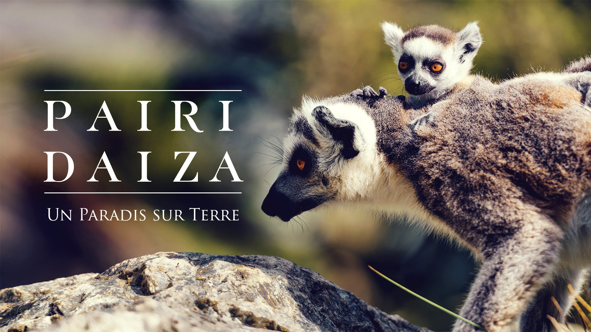 pairi_daiza.jpg