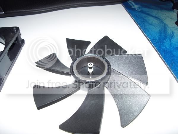 SDC10446.jpg