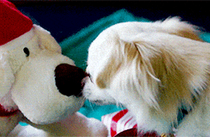 200.gif