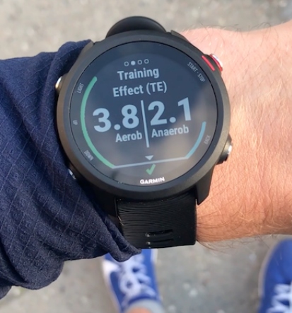 www.runningxpert.com