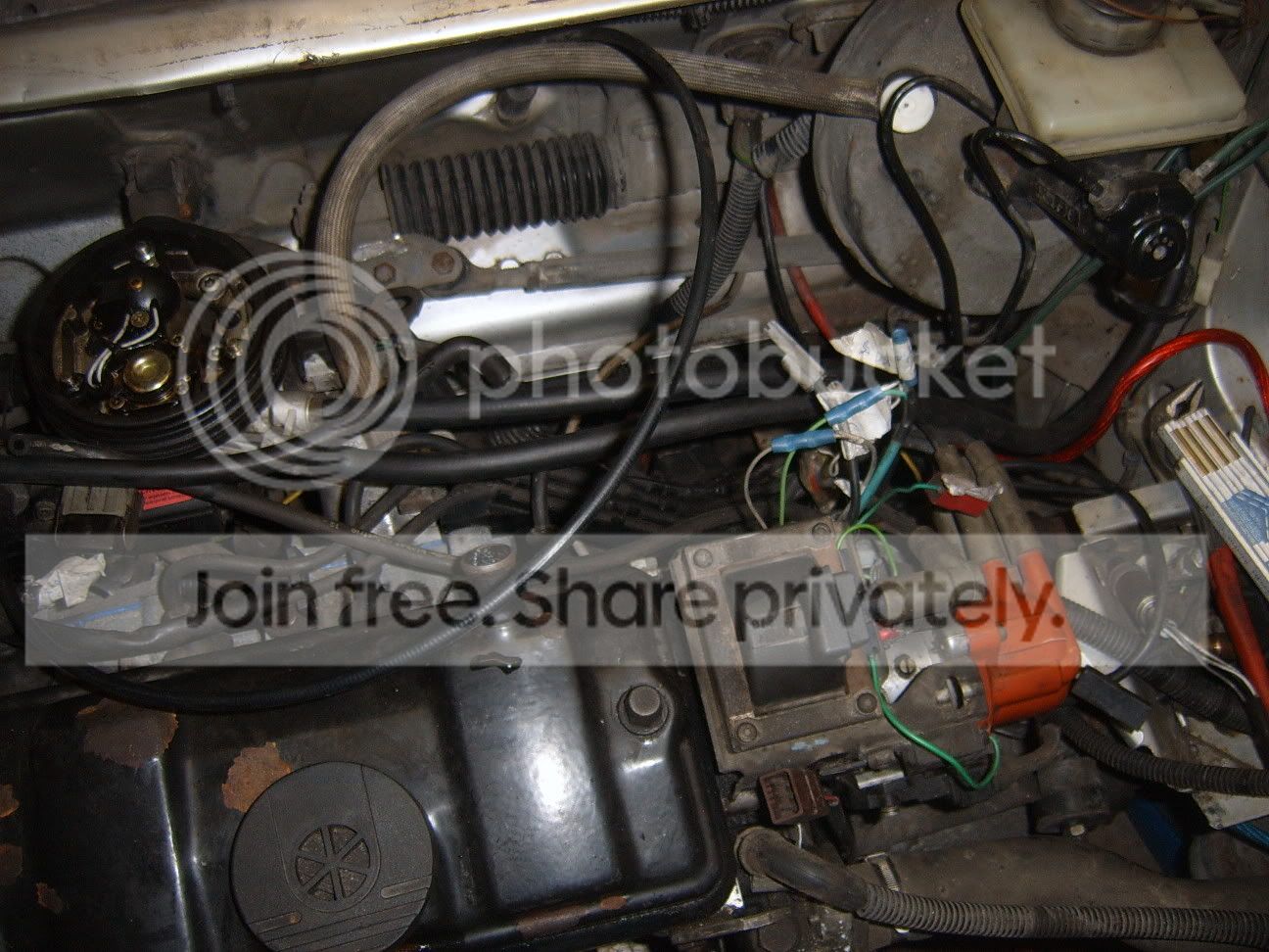 SUC50342.jpg