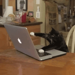 d2W7ho8M5GiDY4DK.gif
