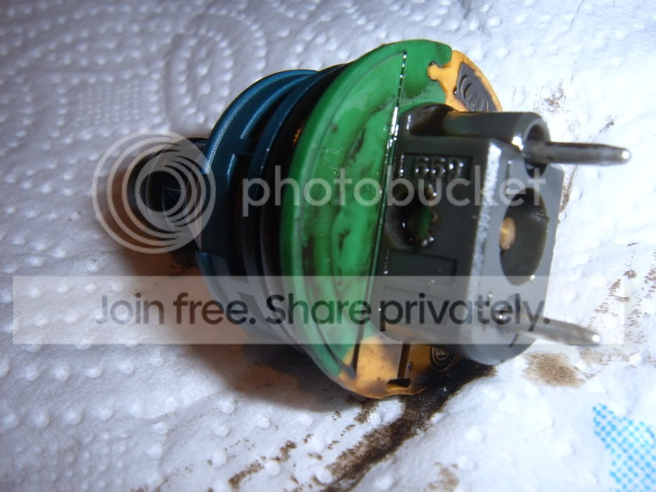 SUC50732.jpg