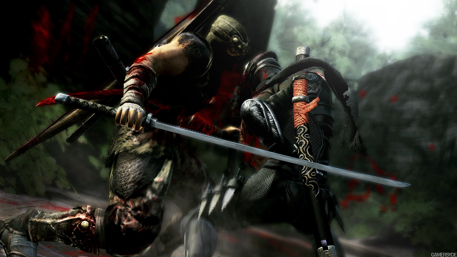 image_ninja_gaiden_3-18017-2238_0007.jpg