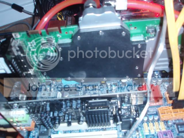 P1010023-1.jpg