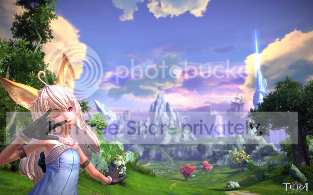 TERA_ScreenShot_20110113_173810.png
