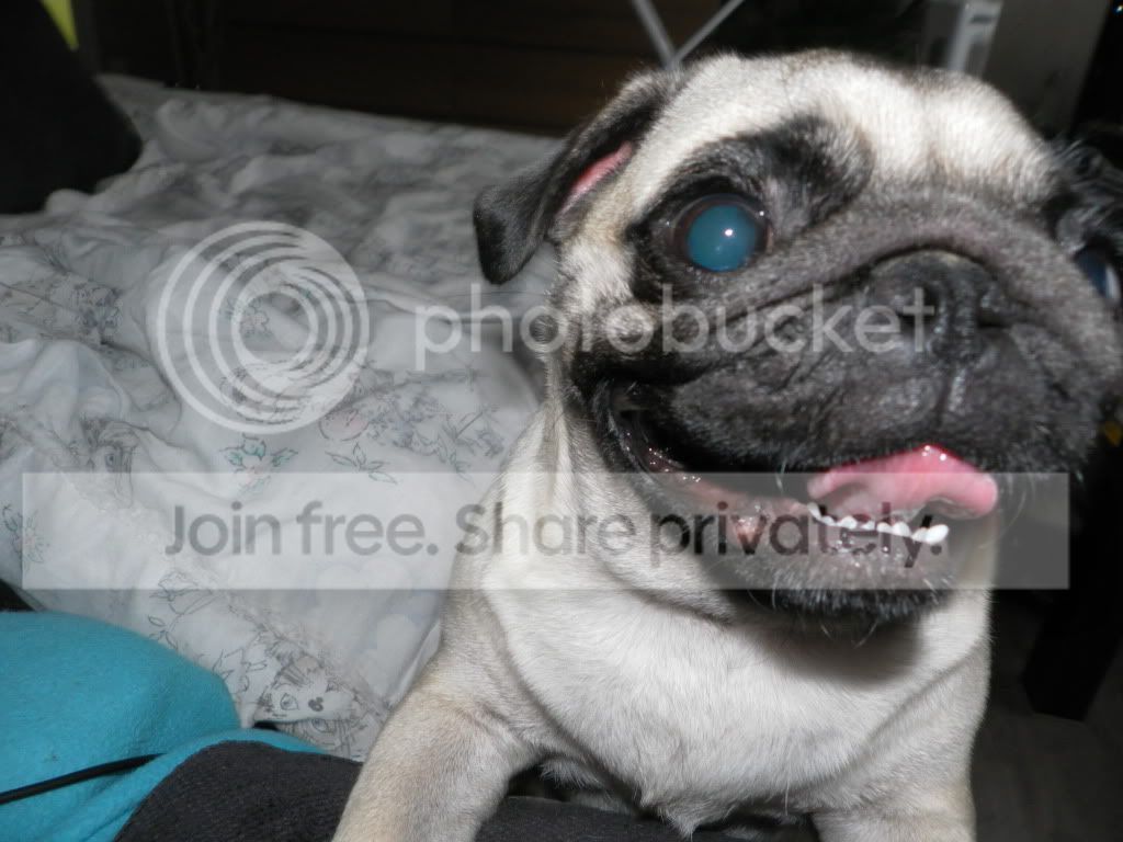 SAM_0284.jpg