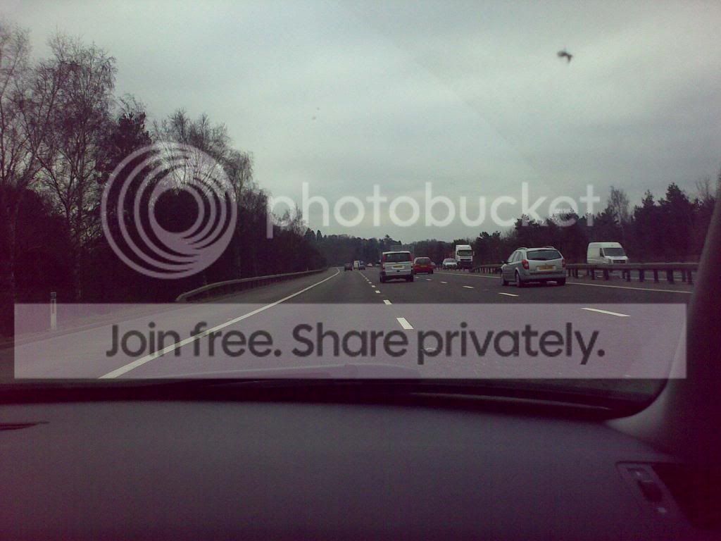 23022009253.jpg