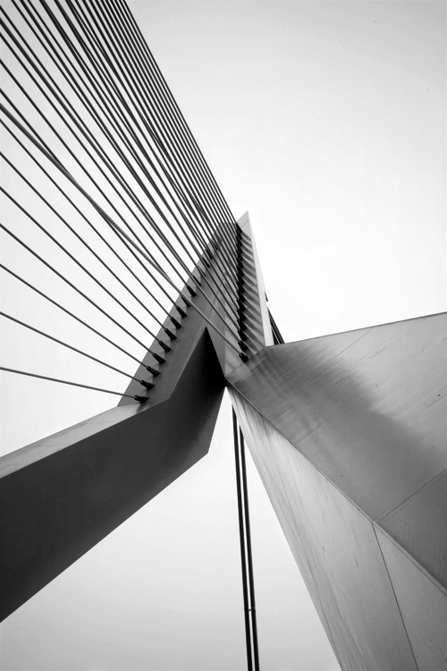 2419503006_d38a0b3f16_o.jpg