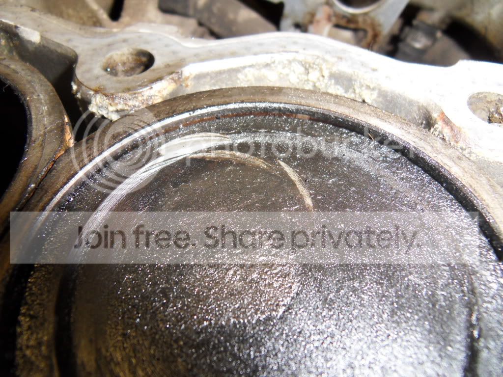 SDC11842.jpg