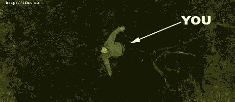 15545ue3.gif