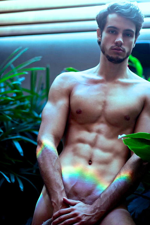 tumblr_n4naf4SvgF1rcm44go1_500.jpg
