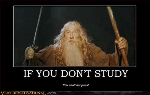if-you-dont-study.jpg